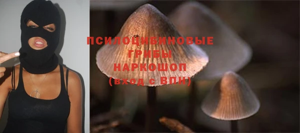 дурь Абдулино