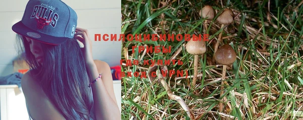 трава Абаза