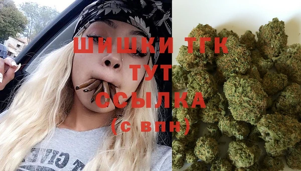трава Абаза