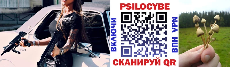 блэк спрут ссылка  Адыгейск  Псилоцибиновые грибы Cubensis 